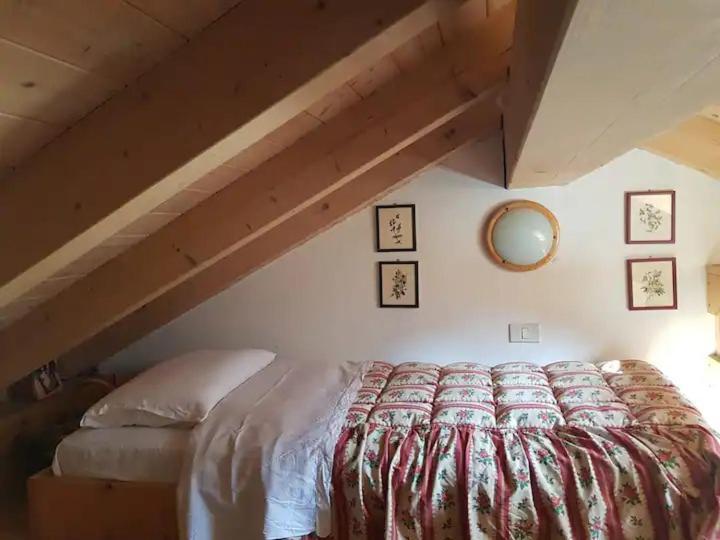 "Fresia" Chalet Turistico A Fisto Apartment Spiazzo  Exterior photo